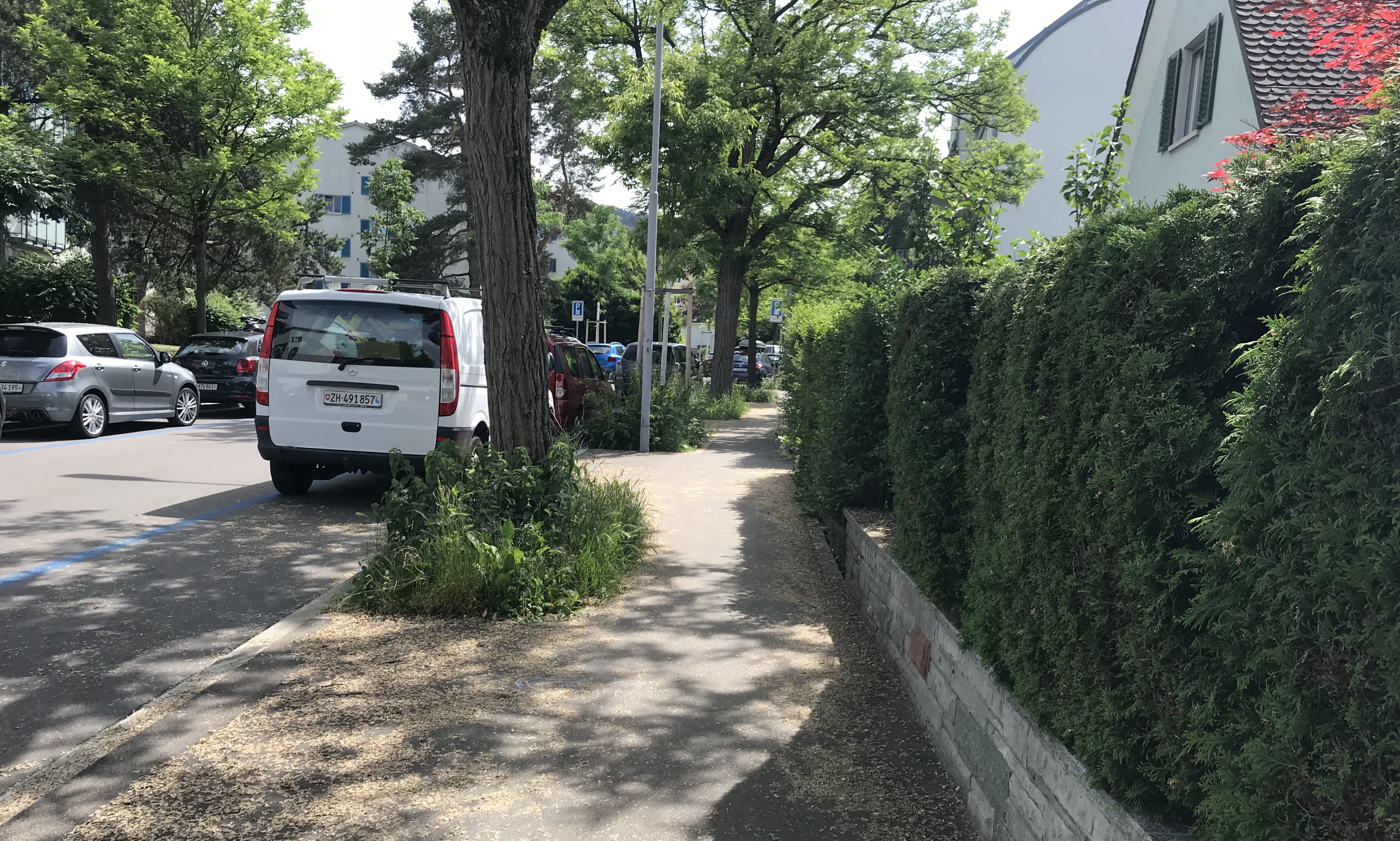 Foto 28-05-18, 15 21 16