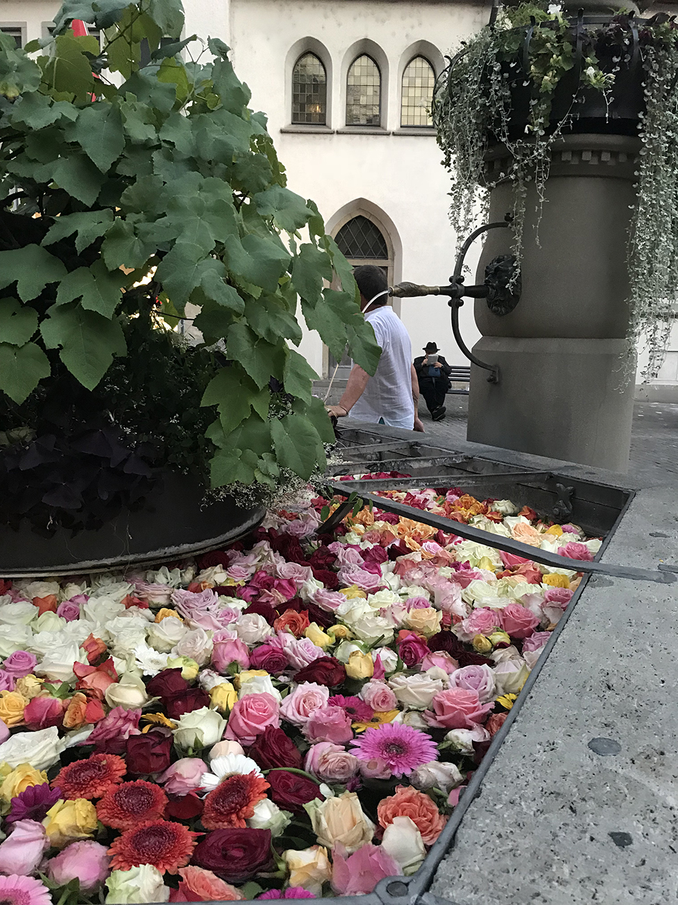 Foto 03-08-18, 21 03 01