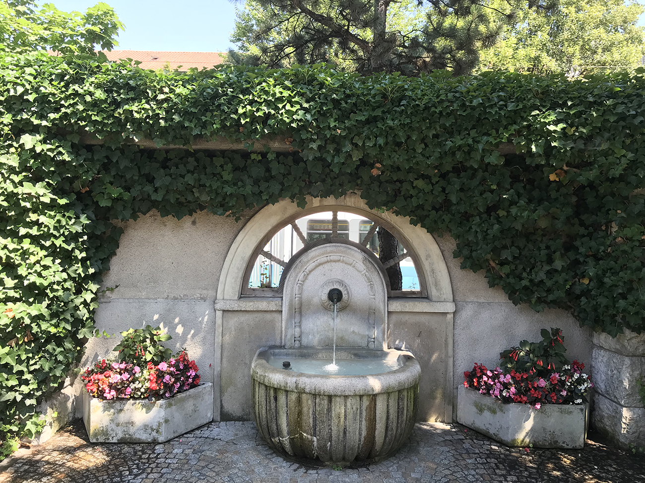 Foto 13-07-18, 11 22 45